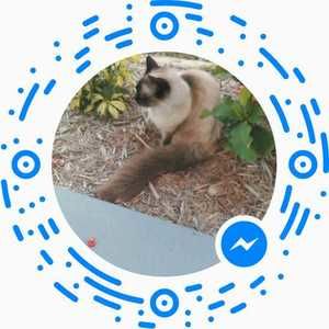 Meet your Posher, Yuriy